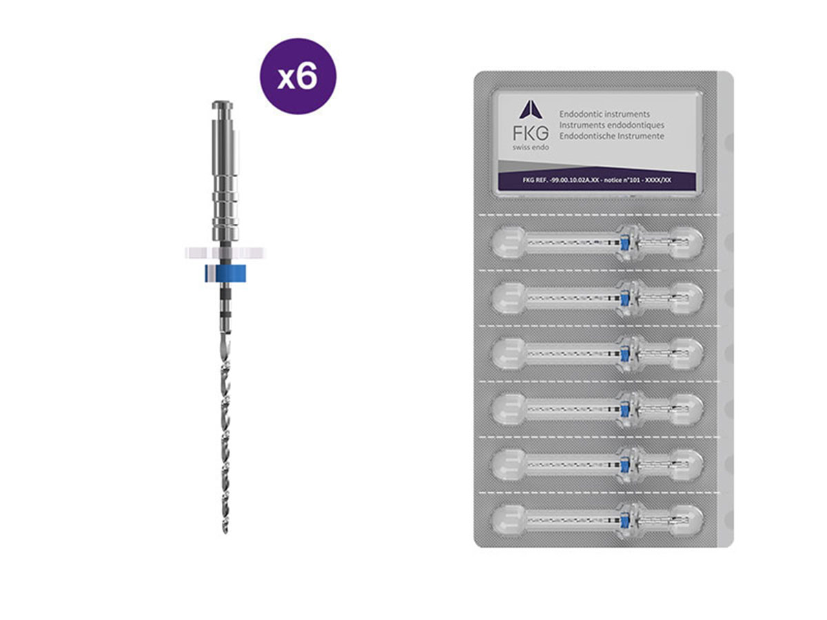 Sterile FKG BioRace BR7 NiTi Feilen 60/.02 - 25 mm (6)